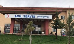 Türkiye’de yalnızca 7 bölgede uygulanıyor, Çorum da listede