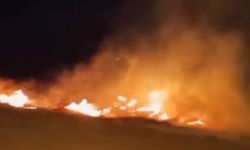 Yıldızhan Mahallesi'ndeki örtü yangını panik yarattı