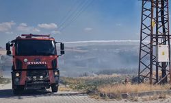 Kuru otlar tutuştu, ekipler alevlere müdahale etti