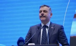 Bakan Çiftçi: 81 ilde sokak hayvanlarının yüzde 93'ü toplandı