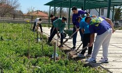 5 dönümlük alan üretime kazandırıldı: Çorum'da örnek proje