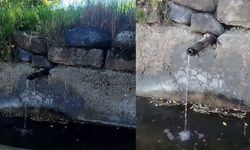 Dağ başındaki çeşme doğal güzelliği ile dikkat çekiyor