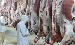 Kesimhanelerde yeni dönem başlıyor: Kamerasız kesim yapılamayacak