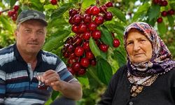 Kiraz yedikten sonra fenalaşan çift hayatını kaybetti