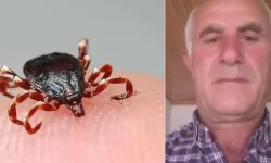 Sakın bunu yapmayın! 61 yaşındaki vatandaş keneyi kendi çıkarınca canından oldu!