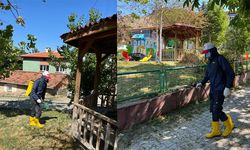 Park ve yeşil alanlarda ilaçlama çalışmaları sürüyor