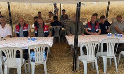 Mecitözü’nde kanola hasadında dekara 382 kilogram verim