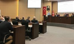 Sahipsiz hayvanlar için hizmet aracı alınacak