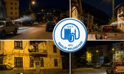 İskilip’te kene ve haşerelere karşı ilaçlama çalışmaları sürüyor
