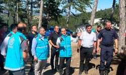 İskilip’te UMKE Medikal Kurtarma Eğitimi Düzenlendi