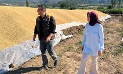 Osmancık TMO’da hububat alımları devam ediyor: Hedef 17 bin ton