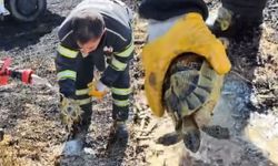 Alevlerin arasında kaldı: İtfaiye ekipleri tarafından son anda kurtarıldı