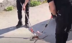 Otomobilin altına giren yılan itfaiye ekiplerince çıkarıldı