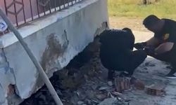 Duvardaki tuğlaların arasından itfaiye tarafından çıkartıldı