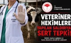 Veteriner Hekimlere Yapılan Saldırıya Sert Tepki