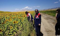 İskilip’te Tarım Arazileri CBS ile Kontrol Ediliyor