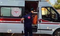 Yola Aniden Fırlayan Çocuklara Otomobil Çarptı: 2 Yaralı!