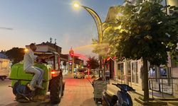 Haşerelere karşı ilaçlama çalışmaları sürüyor
