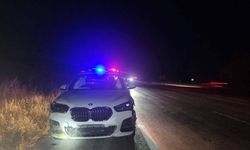 Yola çıkan domuzlar kazaya neden oldu: 4 kişi yaralandı