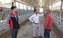 Bu ilçede damızlık sığır ithalatı için inceleme yapıldı