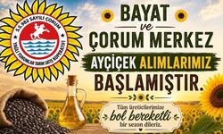 Yağlık ayçiçeği alımları başladı: Nasıl teslim edilecek?