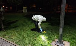 Çorum'da parkta çıkan silahlı kavgada 2 kişi yaralandı