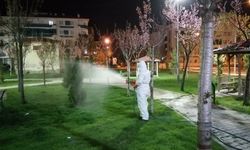 Çorum’da vektörel mücadele aralıksız sürüyor: Şehir genelinde o alanlar tek tek ilaçlanıyor!