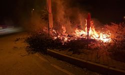 Rüzgarın etkisiyle kısa sürede büyüdü: Ekipler müdahale etti