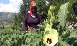 Aracı yok, doğallık var: Çiftçi hem üretiyor hem satıyor