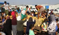 Tarlada 5 lirayı duyunca "Dua yeter" dedi: 50 tonluk mahsul için bakın ne yaptı