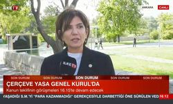 Aynı teşekkürde Erdoğan, Bahçeli ve Öcalan: AK Partili vekilden dikkat çeken sözler