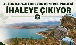 Alaca Barajı için toprak işleme ve fidan dikim ihalesi