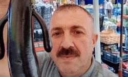 Çorum’da iki kollu patlıcan şaşırttı