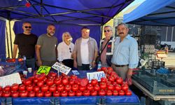 Çiftçinin yüzü Anahtar Parti ile gülecek mi?