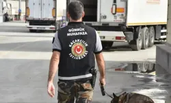 Gümrükte arama yapan ekipler gözlerine inanamadı: İçinden tam 58 bin 519 tane çıktı