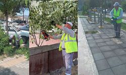 Osmancık’ta hangi park ve yeşil alanlara bakım yapıldı?