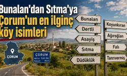 Tabelayı gören sürücüler şaşkına dönüyor: Çorum'un en sıra dışı köy adları