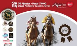 30 Ağustos'ta Çorum'da Nefesler Tutulacak: Rahvan ve Safkan atlar yarışacak