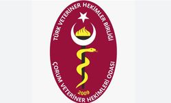 Veteriner Hekim ve Sağlık Teknikerine Yapılan Saldırıya Tepki