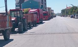 Alaca’da ürün bolluğu, çiftçide fiyat sıkıntısı