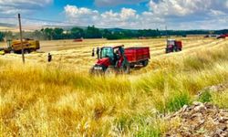 Alaca’da biçerdöver kontrolleri aralıksız sürüyor