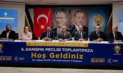 AK Parti Çorum İl Danışma Meclisi toplandı