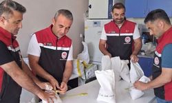 Çorum’da 25 bin ton sertifikalı tohum üretimi bekleniyor
