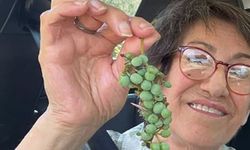 Müzik öğretmeni Ayşen Göknur hayatını kaybetti