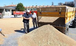 Alaca Ticaret Borsası’nda buğday fiyatı 17,50 TL’ye yükseldi