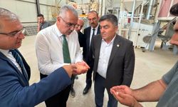 Ahlatcı’dan Bayat’taki Çeltik Eleme ve Kurutma Tesisi’ne ziyaret