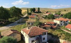 3 bin 252 metrekarelik hazine arazisi neden satışa çıkarıldı?