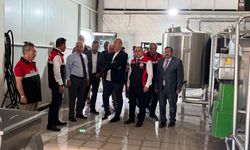Vali Çalgan’dan birlikte incelemelerde bulundu