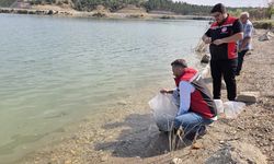 Çorum’daki baraj ve göletlere yavru balık bırakıldı