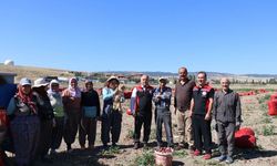Karapürçek Köyü’nde soğan üretimi yerinde incelendi